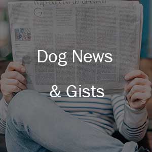 Dog News, History, Gists