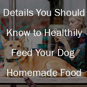 Homemade dog food Details
